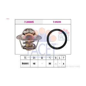 FACET 7.8480