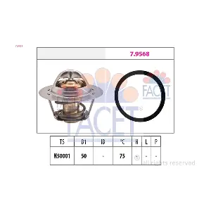 7.8721 FACET