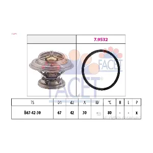FACET 78271