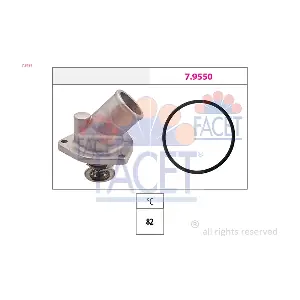 78197 FACET