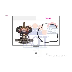 7.8595 FACET