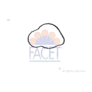 79735 FACET