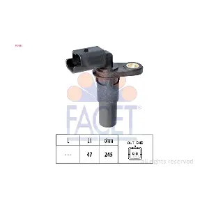 9.0536 FACET