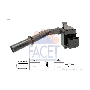 96552 FACET
