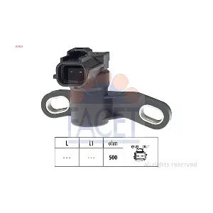 FACET 9.0609