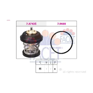 7.8743 FACET