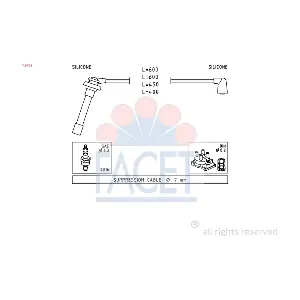FACET 4.9702