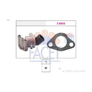 78106 FACET