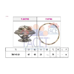7.7942 FACET