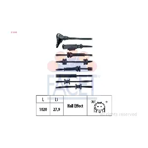 210021 FACET