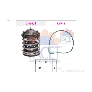 7.8851 FACET