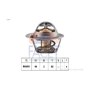 7.8691S FACET