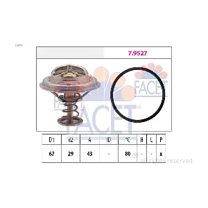580549 FACET