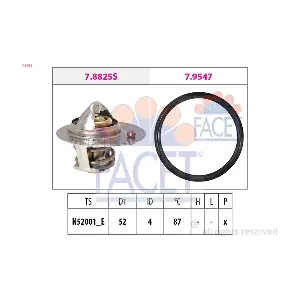 FACET 78825