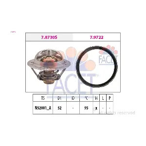 7.8946 FACET