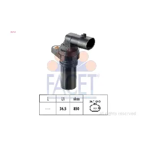 FACET 90407