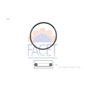 7.9630 FACET