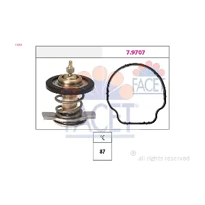 FACET 78805