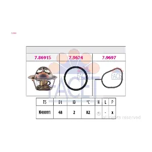 FACET 78691