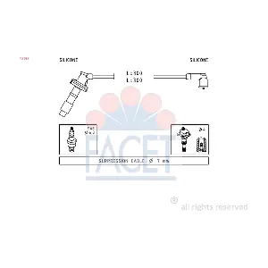 47059 FACET