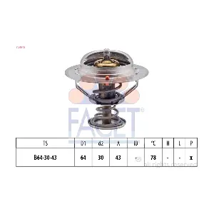 FACET 78491S