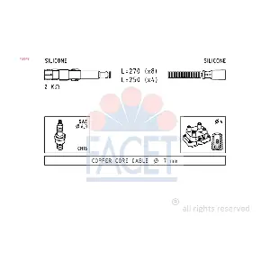 4.9649 FACET
