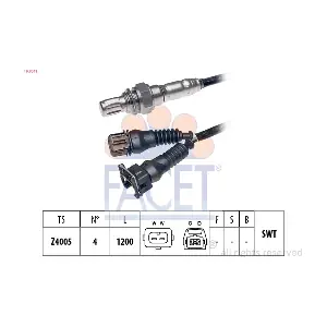 FACET 10.7041
