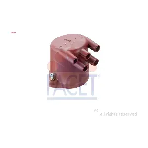 28193 FACET