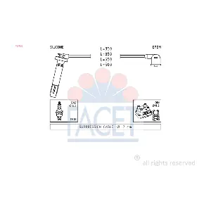 47106 FACET