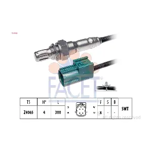 107592 FACET