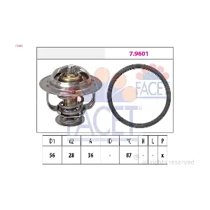 78828 FACET