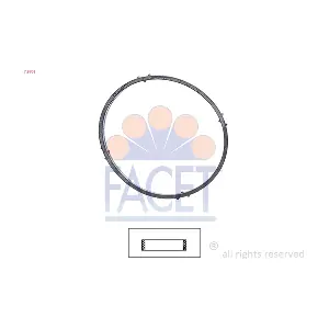 FACET 79701