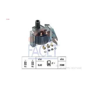 FACET 9.6025