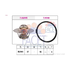 77938 FACET