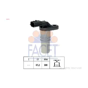 9.0646 FACET