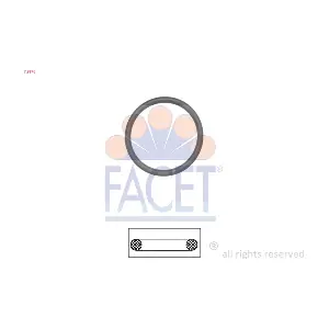 7.9576 FACET