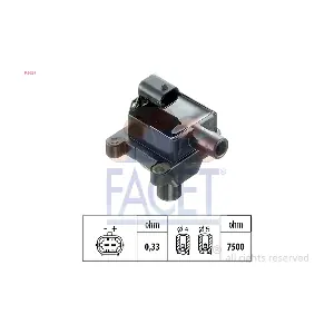 FACET 9.6287