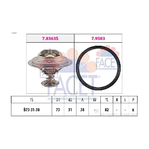 FACET 7.8363