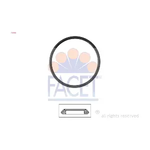 FACET 7.9655