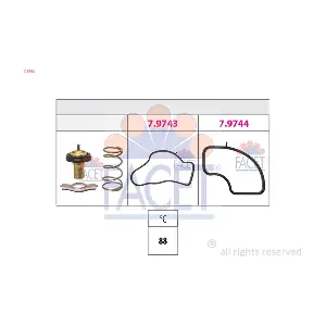 7.8986 FACET