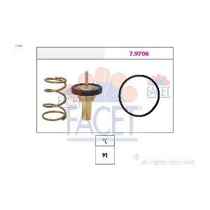 7.8995 FACET