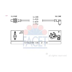 48674 FACET