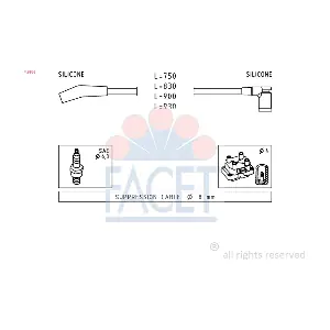 FACET 4.9568