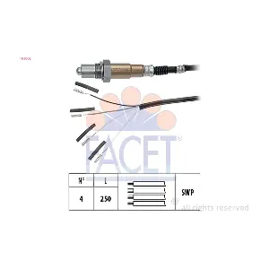 FACET 10.7008