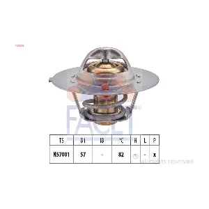 7.8209S FACET