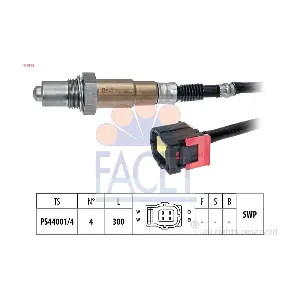 FACET 108175