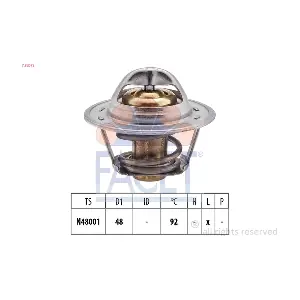FACET 7.8207S