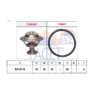 7.8728 FACET
