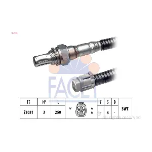 FACET 10.7909