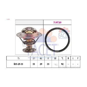 7.8945 FACET